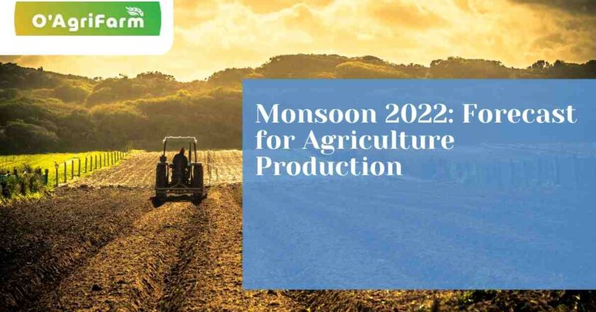 Monsoon 2022: Forecast for Agriculture Production