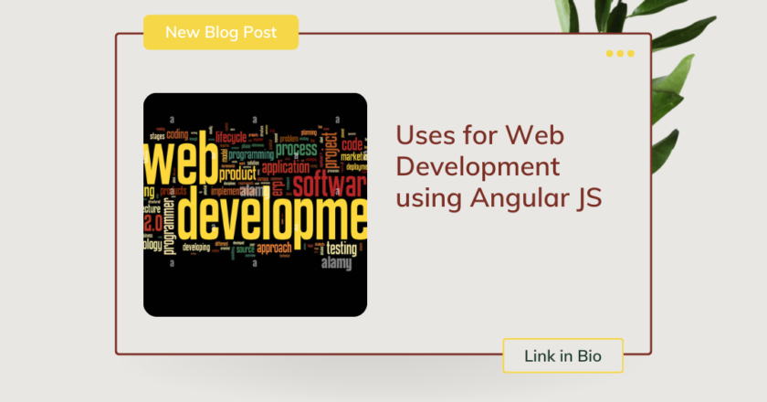 Uses for Web Development using Angular JS